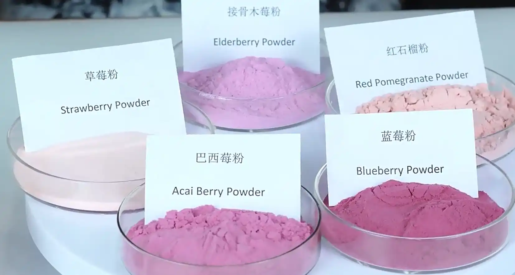 fruit powder premix.webp